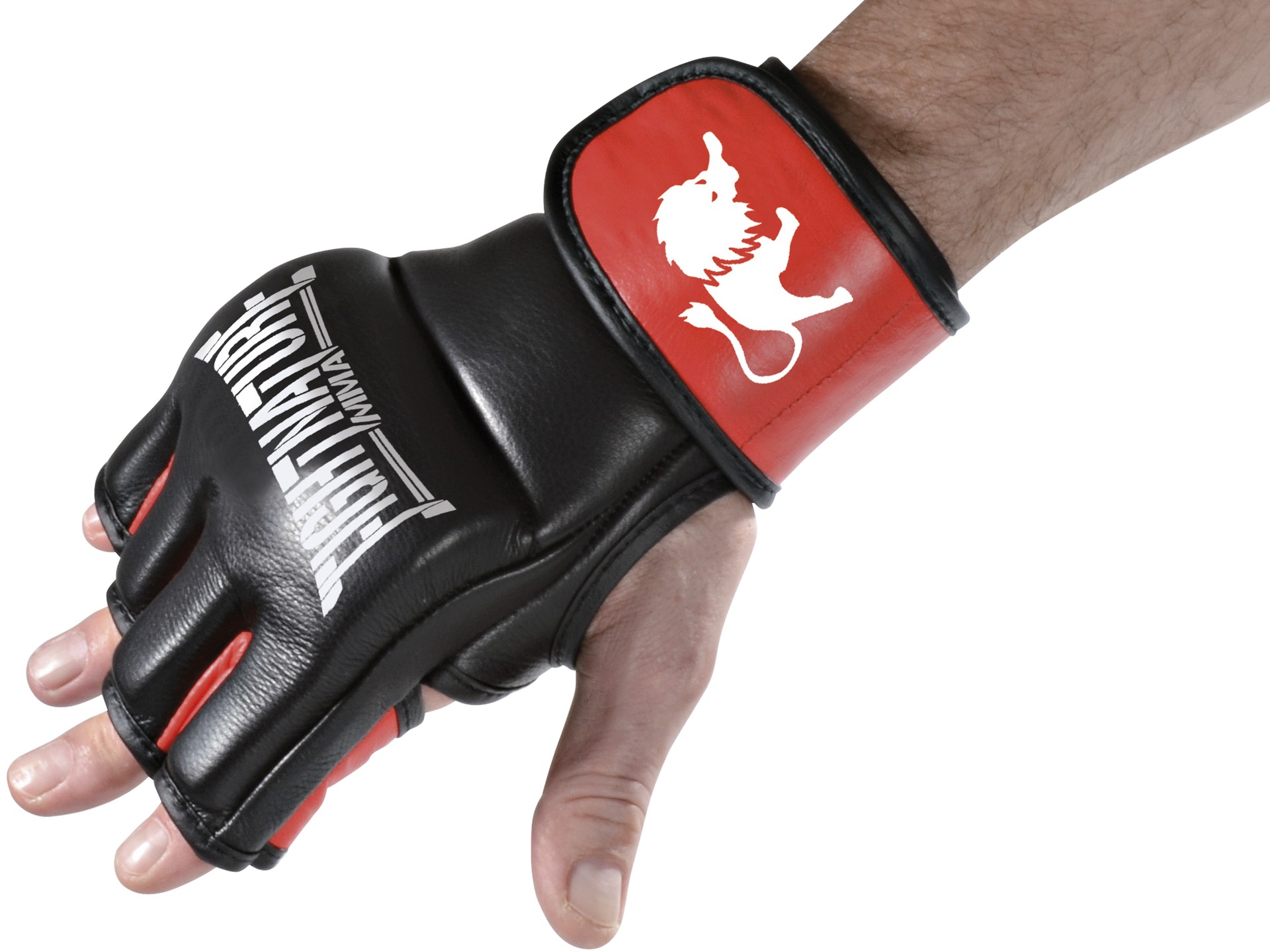 FIGHTNATURE MMA Gloves Leather