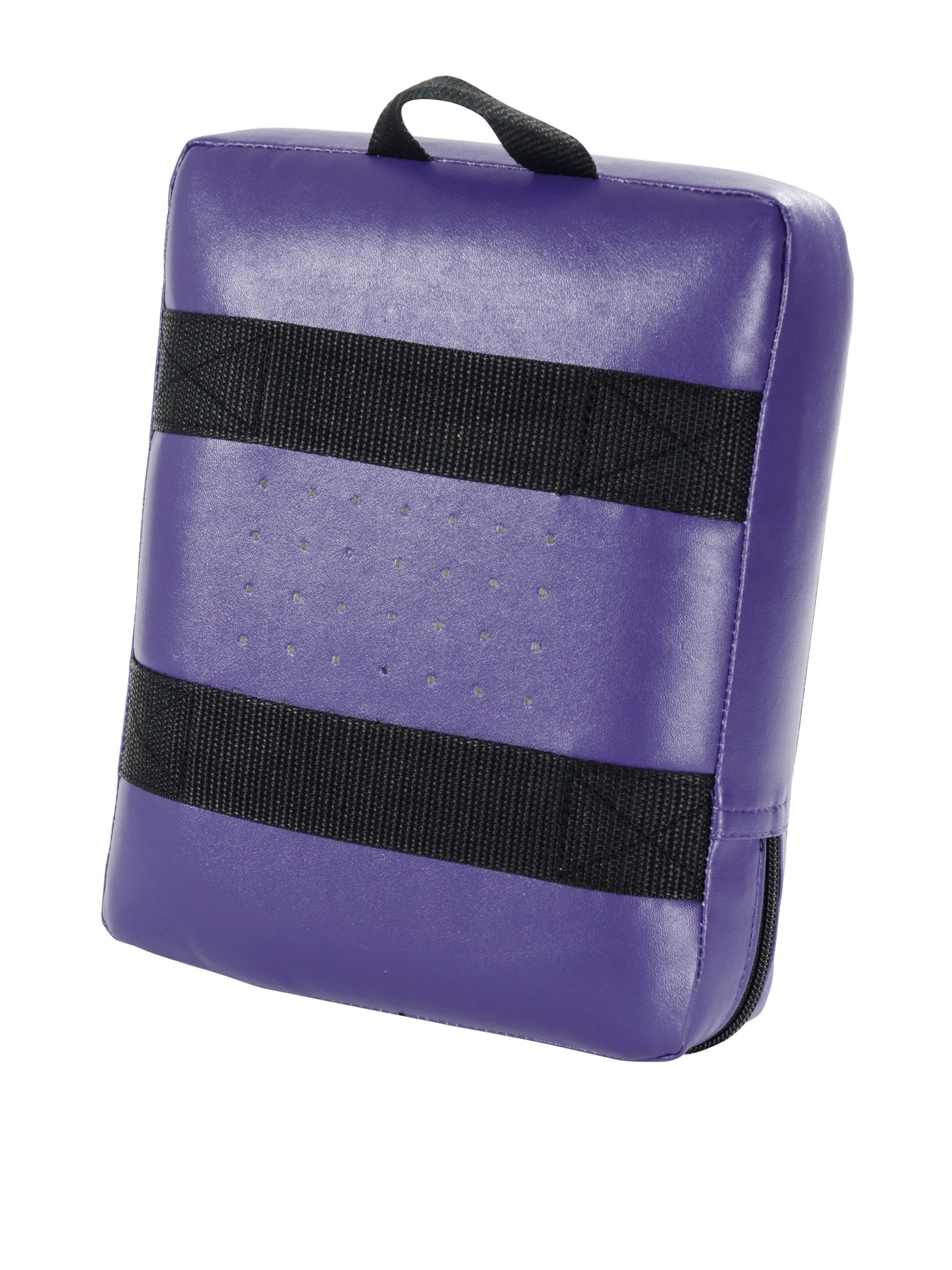DRACHENKRALLE Coaching Mitt purple