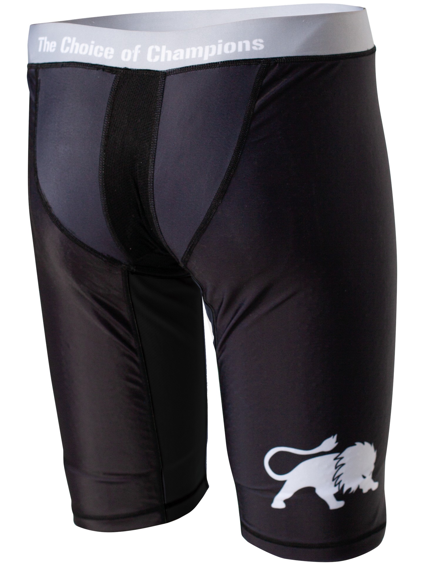FIGHTNATURE compression shorts long version