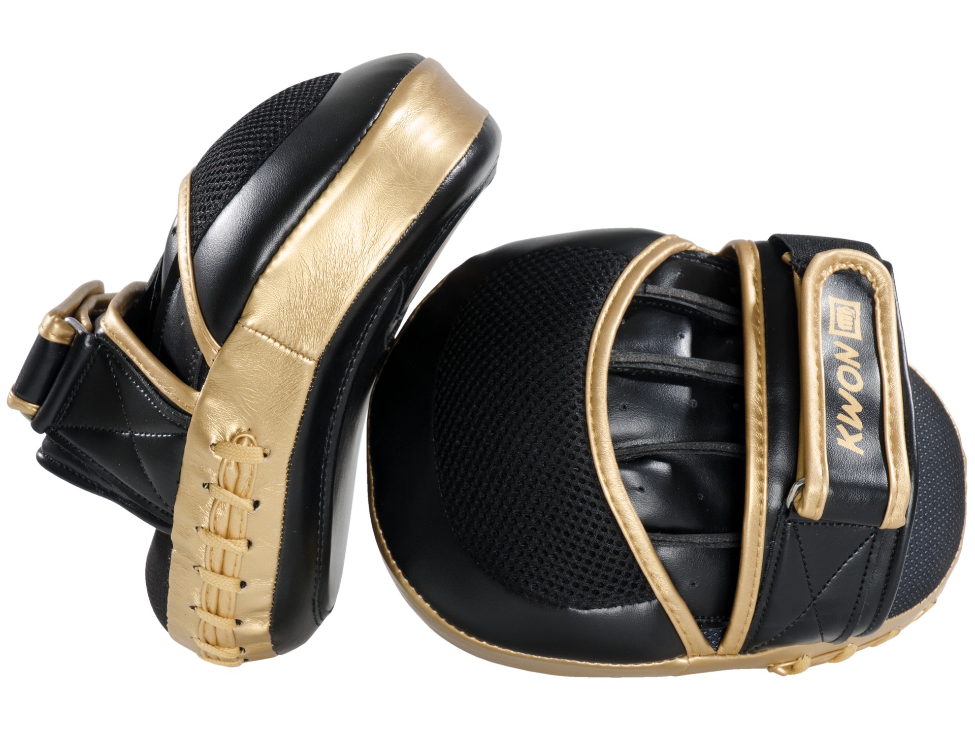 Coaching Mitt Ultimate pair