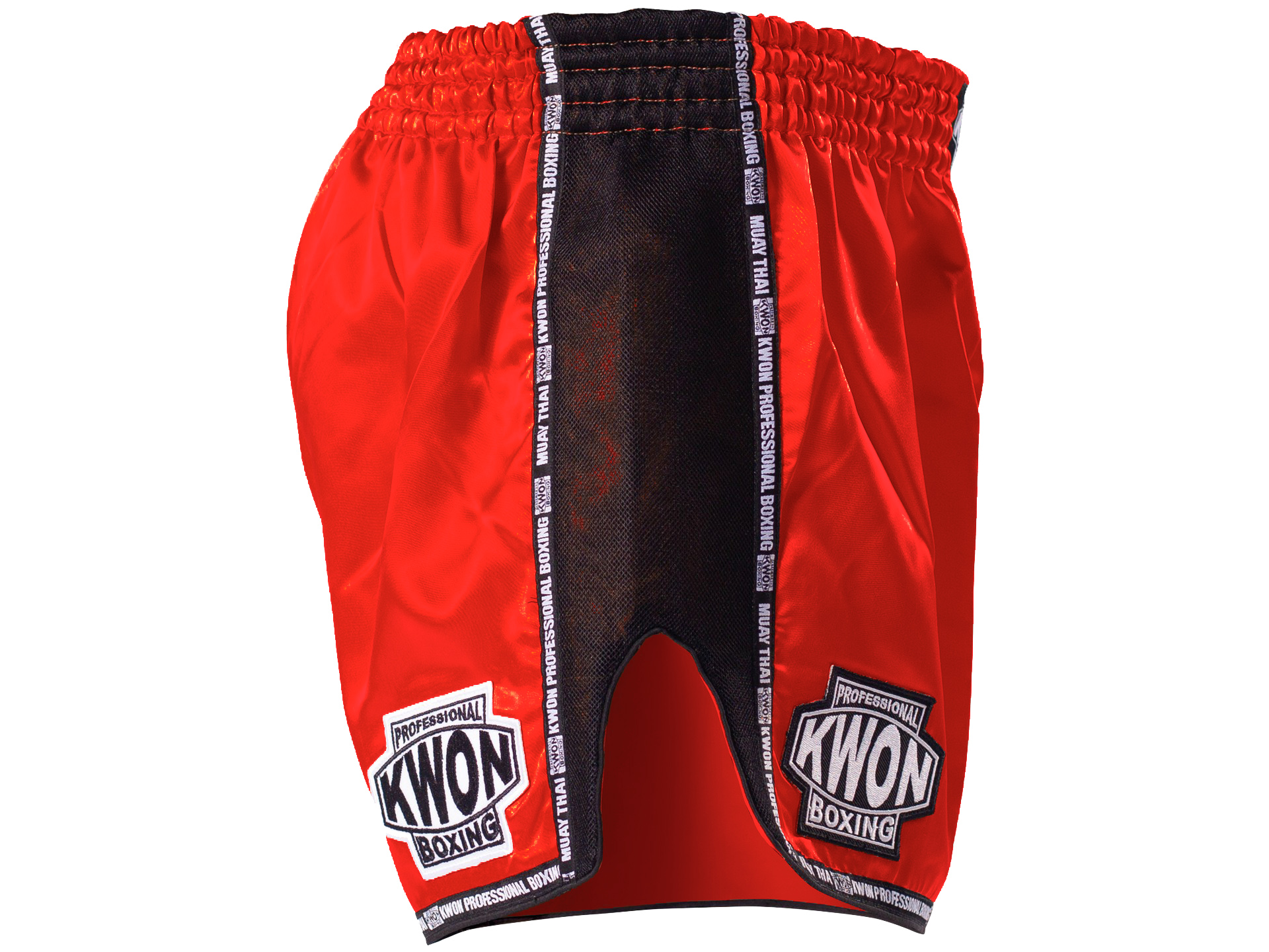 Thai Kickboxing shorts Evolution