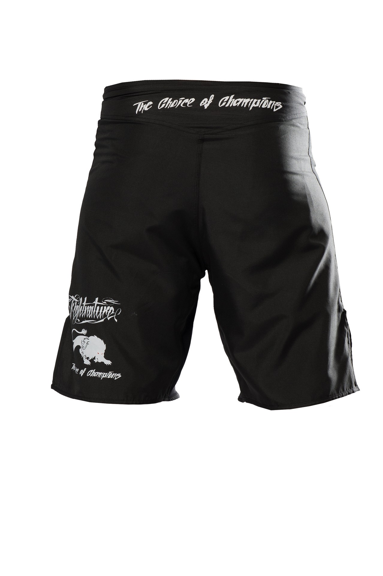 FIGHTNATURE MMA Shorts black