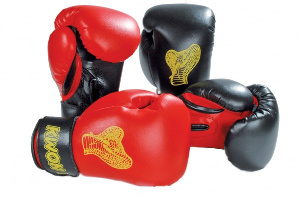 cobra kai boxing gloves